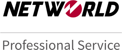 株式会社ネットワールド（Professional Service）
